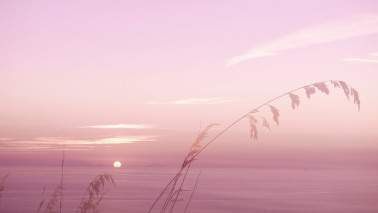 A peaceful scene overlooking water with mauve hues.